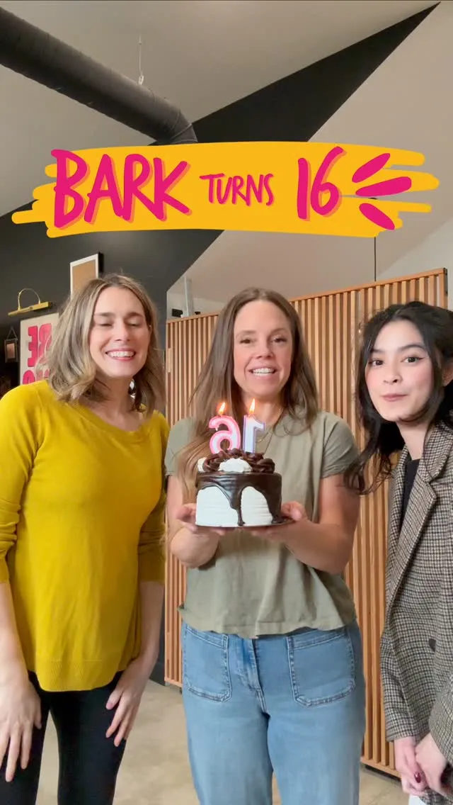 barkdesignstudio_post_18352667497226744