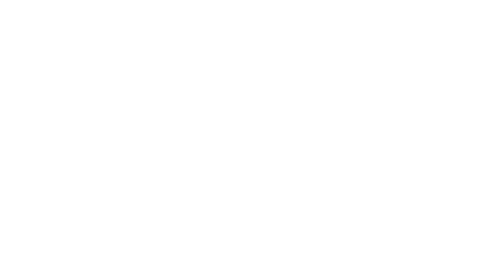 IDAS LOGO white