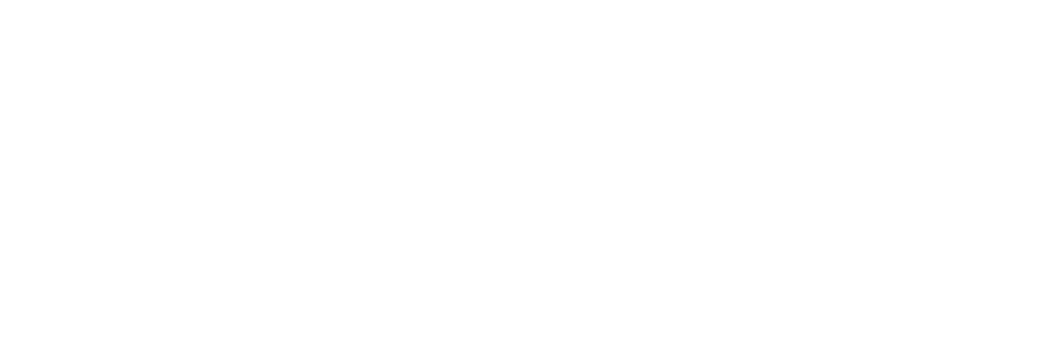 NUIMAGE LOGO white